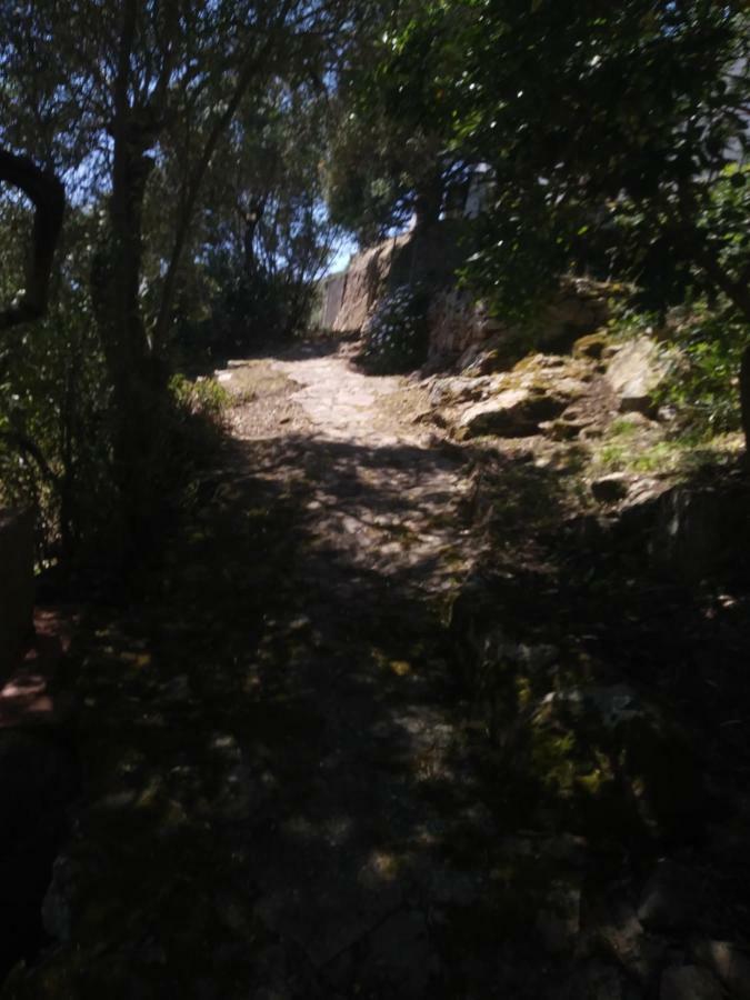Ca Da Marta Q4526 Villa Carloforte Kültér fotó