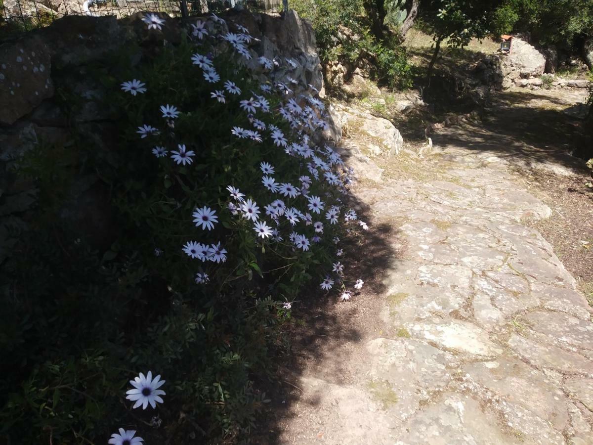 Ca Da Marta Q4526 Villa Carloforte Kültér fotó