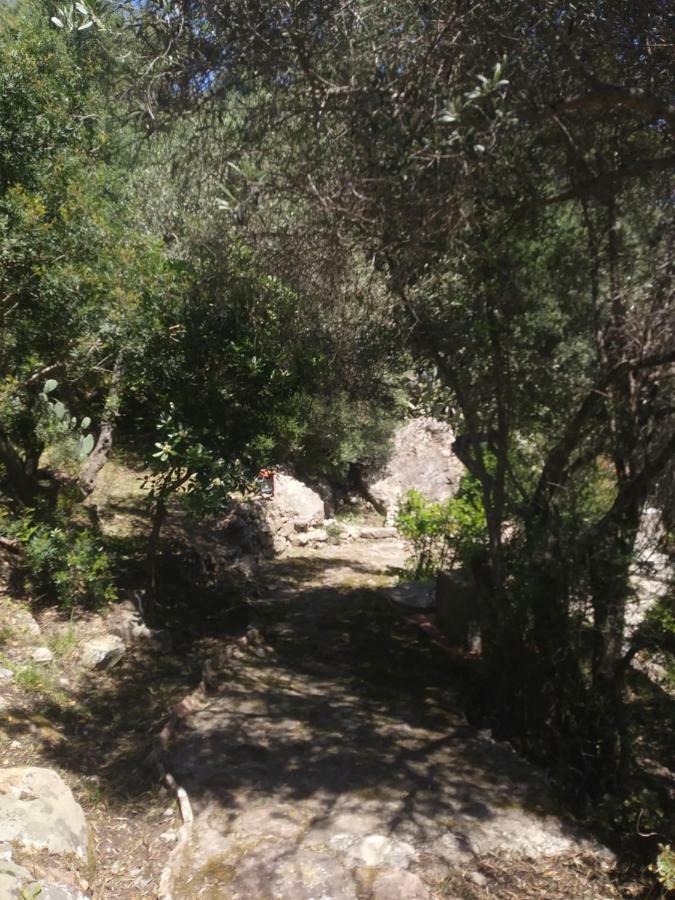 Ca Da Marta Q4526 Villa Carloforte Kültér fotó
