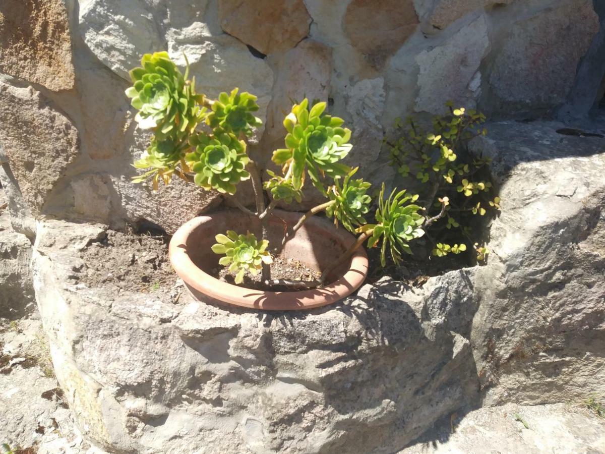 Ca Da Marta Q4526 Villa Carloforte Kültér fotó